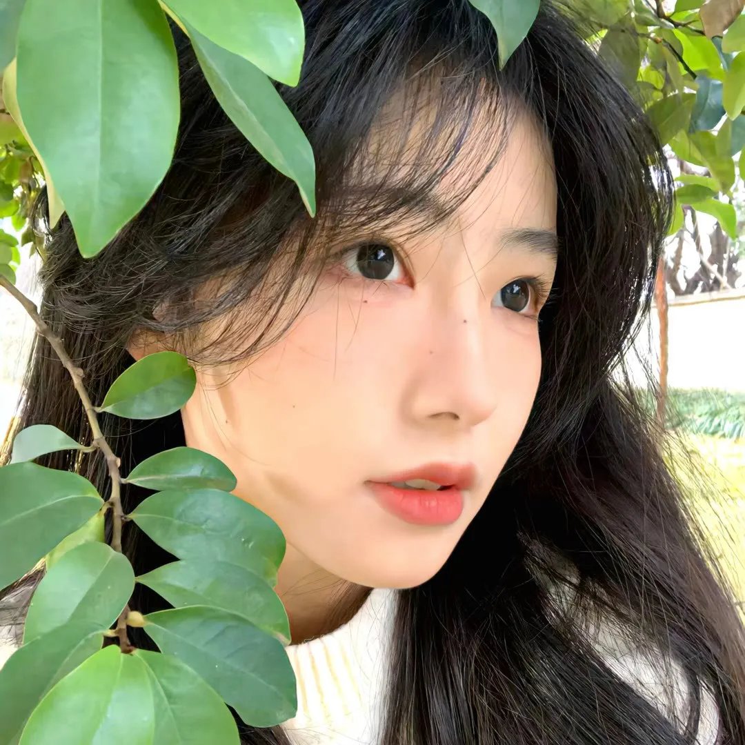 五个杀手的传说